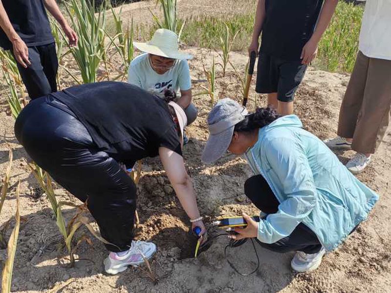 农业技术开发：推动现代农业发展的新引擎